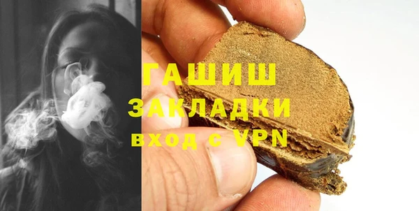 гидра Богданович