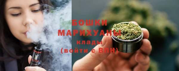 СК Богородск