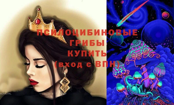 прущая мука Богородицк