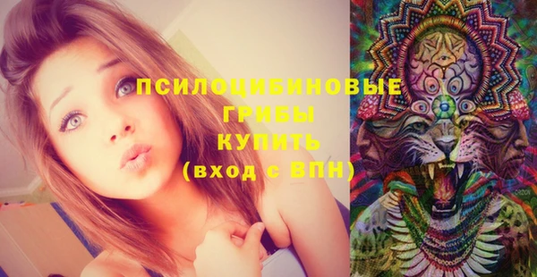 гидра Богданович