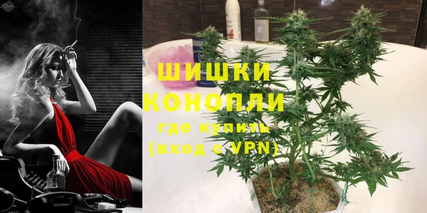 гидра Богданович
