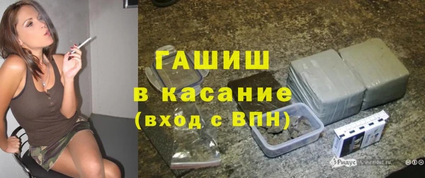 гидра Богданович