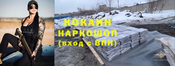 гидра Богданович
