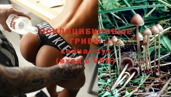 гидра Богданович