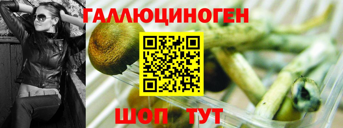 Псилоцибиновые грибы Magic Shrooms Вязьма