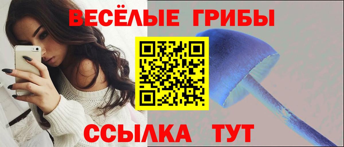 Псилоцибиновые грибы GOLDEN TEACHER  как найти закладки  Вязьма  Галлюциногенные грибы Psilocybine cubensis  Вход с VPN 